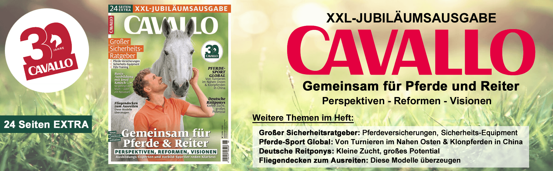 Cavallo KW 21 Kopie